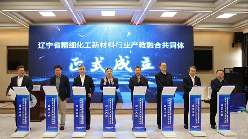 山东增稠剂：揭秘其关键特性与应用领域**